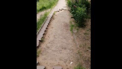 проспект Богоявленский 303