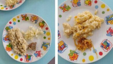 "Порции как для котенка": в школе Корабельного района, где ели "слуги народа", показали, как кормят детей | Корабелов.ИНФО image 1