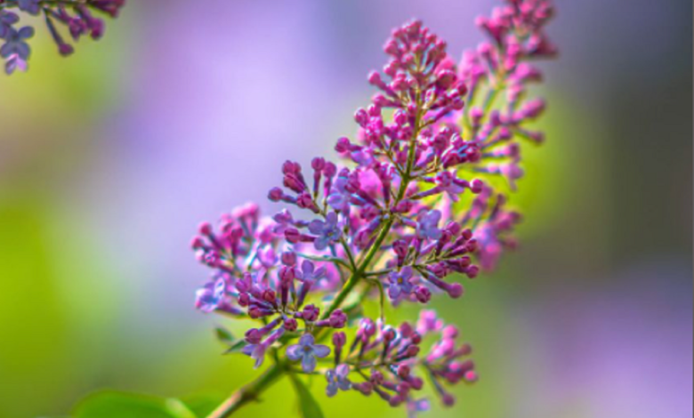 На Николаевщине на выходных обещают до 24 градусов тепла | Корабелов.ИНФО