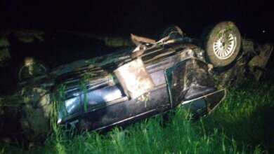 На трассе под Николаевом перевернулся «БМВ» - погиб пассажир | Корабелов.ИНФО