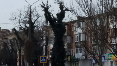 COVID в Корабельном: 3 смерти за первую неделю мая; сейчас болеют почти 600 жителей | Корабелов.ИНФО