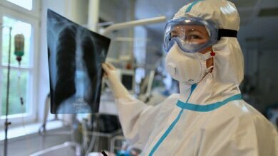 COVID на Николаевщине: 237 новых заболевших и 5 смертей за сутки | Корабелов.ИНФО