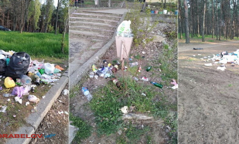 "Свині сидять в кабінетах", - житель Корабельного возмущен кучами мусора в районе | Корабелов.ИНФО