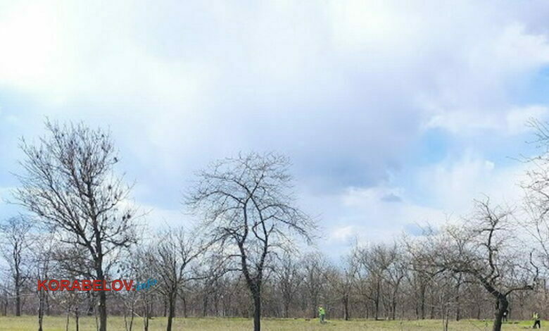 парк "Дружба"