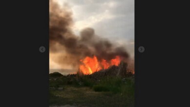 Пожар вблизи жилого сектора в Корабельном районе (Видео) | Корабелов.ИНФО image 1