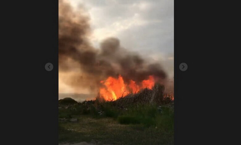 Пожар вблизи жилого сектора в Корабельном районе (Видео) | Корабелов.ИНФО image 1