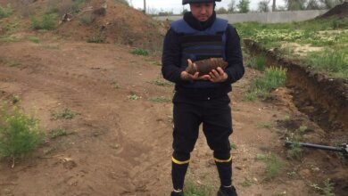 Николаевец в Корабельном районе наткнулся на артиллерийский снаряд | Корабелов.ИНФО