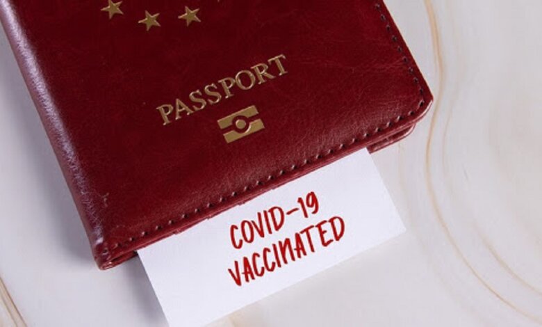 Глава Минцифры рассказал, когда в Украине введут "паспорта вакцинации" | Корабелов.ИНФО