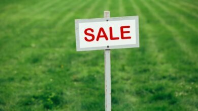 Нардепы одобрили продажу земли на онлайн-аукционах | Корабелов.ИНФО