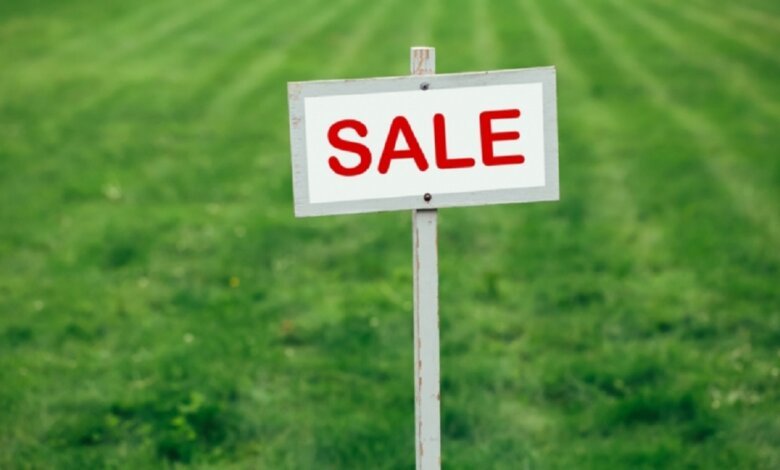 Нардепы одобрили продажу земли на онлайн-аукционах | Корабелов.ИНФО