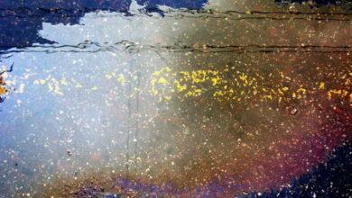 разлитое на дороге масло