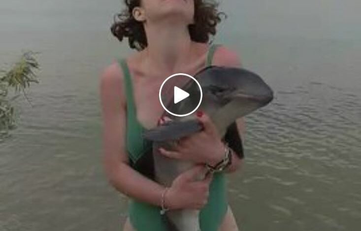 спасение дельфиненка