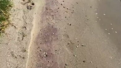 шламовый песок