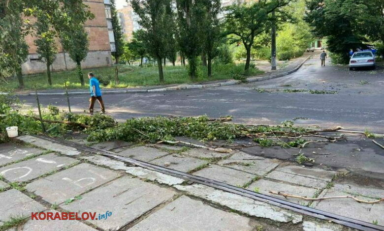 деревопад в Корабельном районе