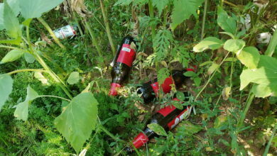 мусор, бутылки в парке "Богоявленский"