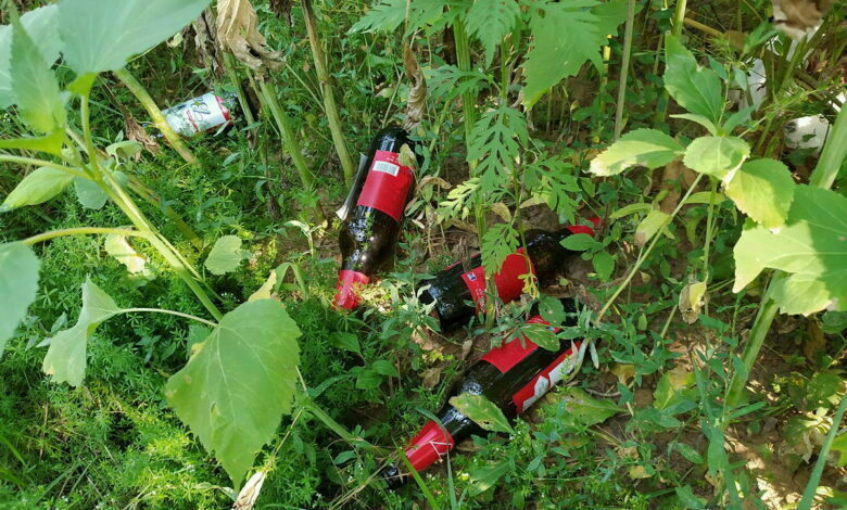 мусор, бутылки в парке "Богоявленский"