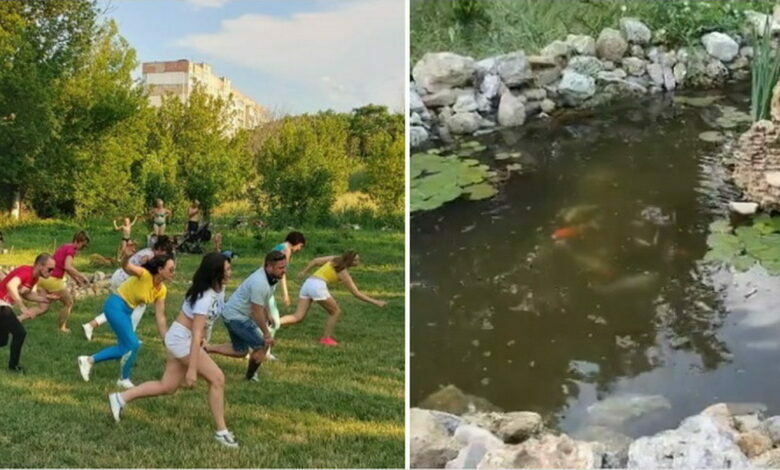 парк "Богоявленский"