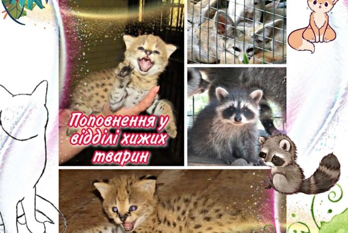 зоопарк