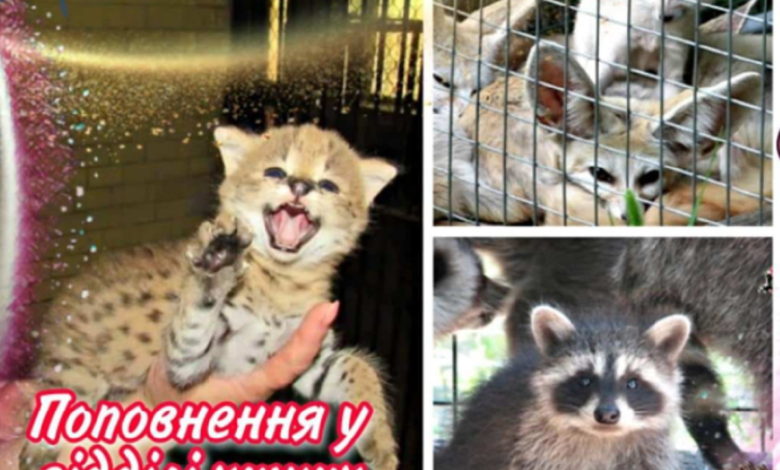 зоопарк
