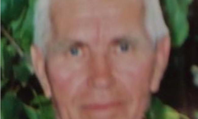 Виктор Санин