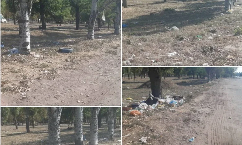 мусор в Корабельном районе