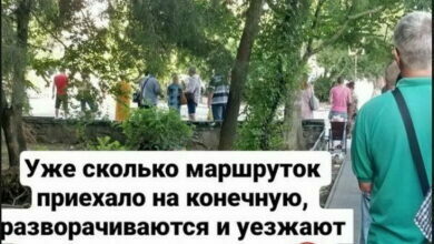 маршрут 50 в Николаеве - очередь на остановке