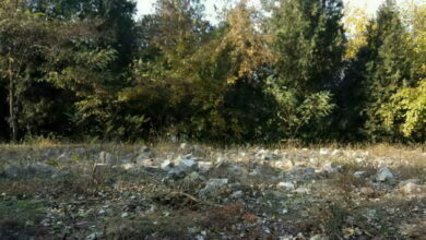 мусор вдоль дороги