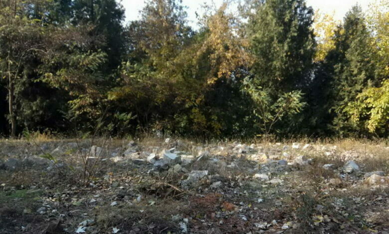 мусор вдоль дороги