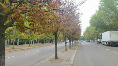 пр. Корабелов, Николаев