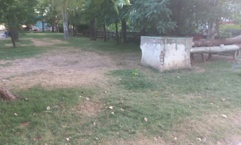 сквер витовский