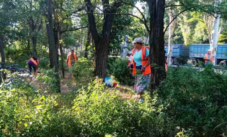 уборка в зеленой зоне