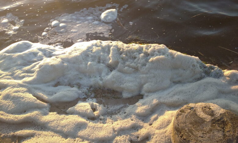 пена в акватории пляжа "Чайка"