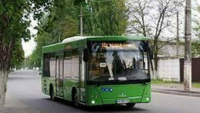 зеленый автобус