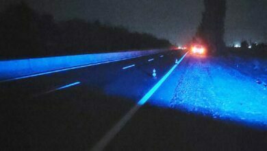 ДТП на Николаевщине 23.09.2021