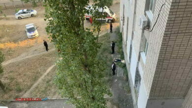 выпавший из окна