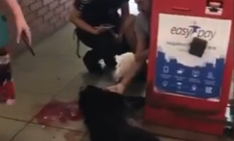 убитая собака