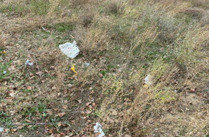 Мусор на Айвазовского возле ПТУ№1