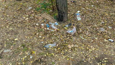 Мусор на Айвазовского возле ПТУ№1