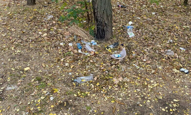 Мусор на Айвазовского возле ПТУ№1