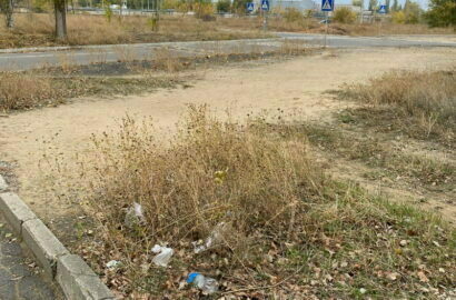 Мусор на Айвазовского возле ПТУ№1