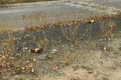 Мусор на Айвазовского возле ПТУ№1