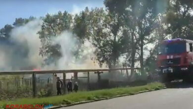 пожар на открытой территории в Корабельном районе Николаева (возле ул. Торговой)