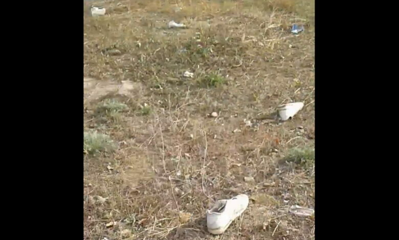 мусор Айвозовского 7,6А и пр. Коробелов 2А