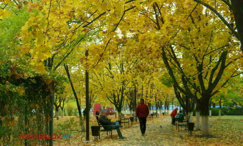 г. Николаев