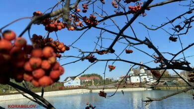 село Ковалевка