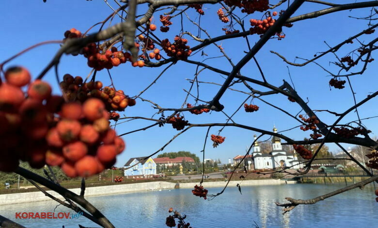 село Ковалевка