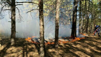 пожар в Балабановском лесу 04.10.2021