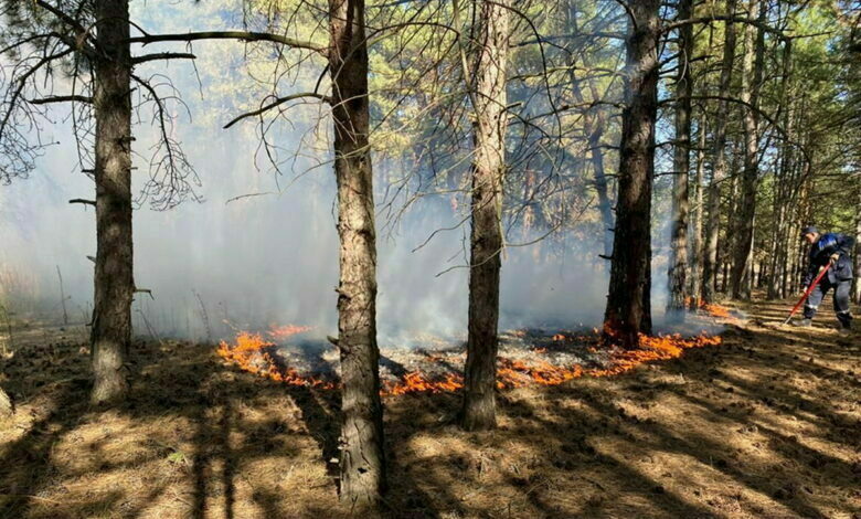 пожар в Балабановском лесу 04.10.2021