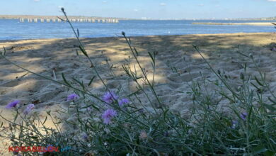 погода 03.10.21