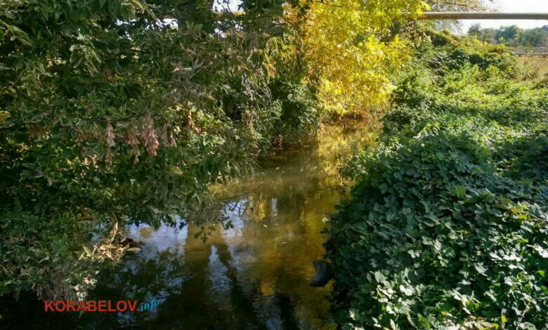 Речка Витовка в Корабельном районе г. Николаева
